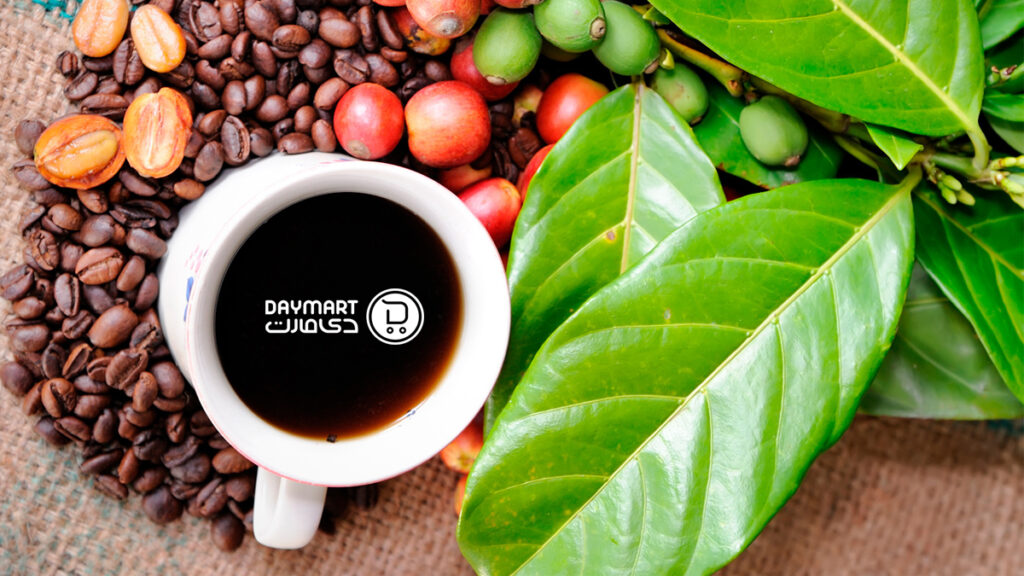 دانه های قهوه قبل از برداشت به صورت قرمز رنگ می باشند.